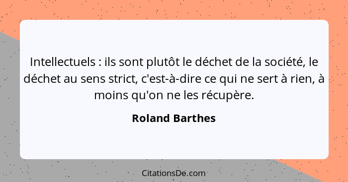 Intellectuels : ils sont plutôt le déchet de la société, le déchet au sens strict, c'est-à-dire ce qui ne sert à rien, à moins q... - Roland Barthes