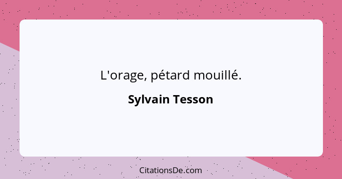 L'orage, pétard mouillé.... - Sylvain Tesson