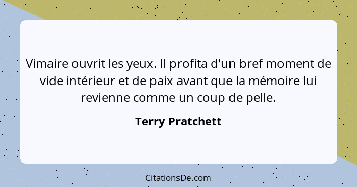 Vimaire ouvrit les yeux. Il profita d'un bref moment de vide intérieur et de paix avant que la mémoire lui revienne comme un coup de... - Terry Pratchett