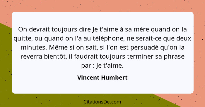 On devrait toujours dire Je t'aime à sa mère quand on la quitte, ou quand on l'a au téléphone, ne serait-ce que deux minutes. Même s... - Vincent Humbert