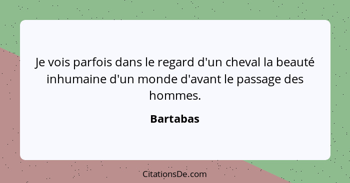 Je vois parfois dans le regard d'un cheval la beauté inhumaine d'un monde d'avant le passage des hommes.... - Bartabas