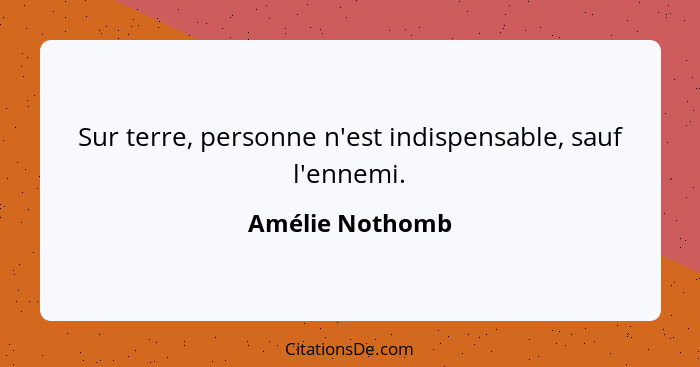 Sur terre, personne n'est indispensable, sauf l'ennemi.... - Amélie Nothomb