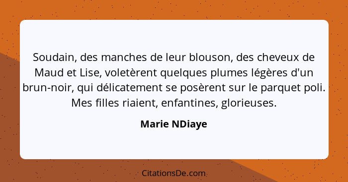 Soudain, des manches de leur blouson, des cheveux de Maud et Lise, voletèrent quelques plumes légères d'un brun-noir, qui délicatement... - Marie NDiaye