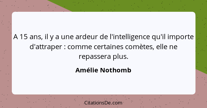 A 15 ans, il y a une ardeur de l'intelligence qu'il importe d'attraper : comme certaines comètes, elle ne repassera plus.... - Amélie Nothomb