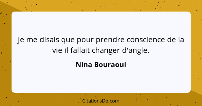 Je me disais que pour prendre conscience de la vie il fallait changer d'angle.... - Nina Bouraoui