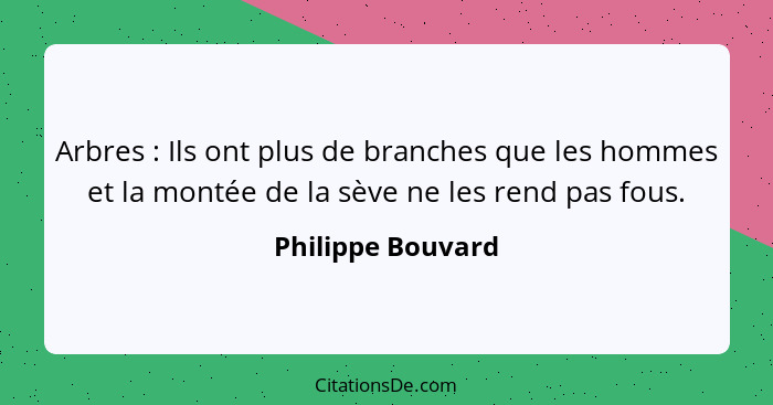 Arbres : Ils ont plus de branches que les hommes et la montée de la sève ne les rend pas fous.... - Philippe Bouvard