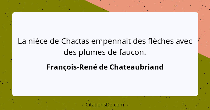 La nièce de Chactas empennait des flèches avec des plumes de faucon.... - François-René de Chateaubriand