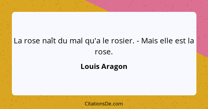 La rose naît du mal qu'a le rosier. - Mais elle est la rose.... - Louis Aragon