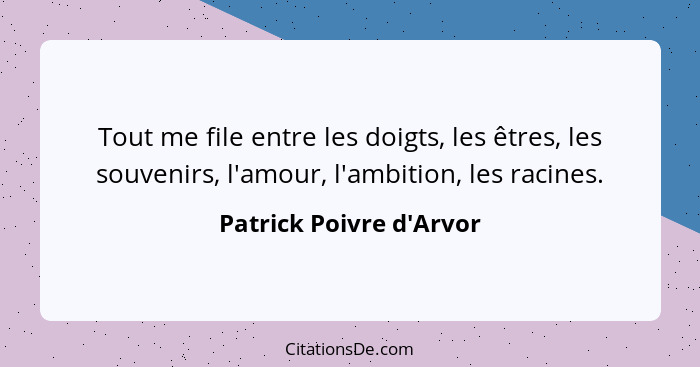 Tout me file entre les doigts, les êtres, les souvenirs, l'amour, l'ambition, les racines.... - Patrick Poivre d'Arvor