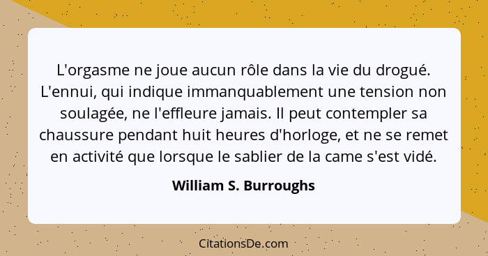 L'orgasme ne joue aucun rôle dans la vie du drogué. L'ennui, qui indique immanquablement une tension non soulagée, ne l'effleur... - William S. Burroughs