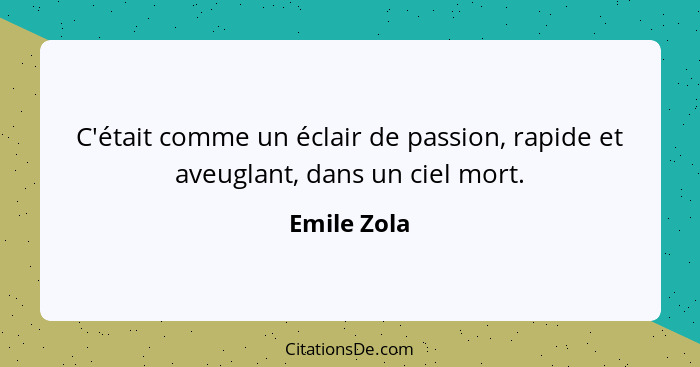 C'était comme un éclair de passion, rapide et aveuglant, dans un ciel mort.... - Emile Zola