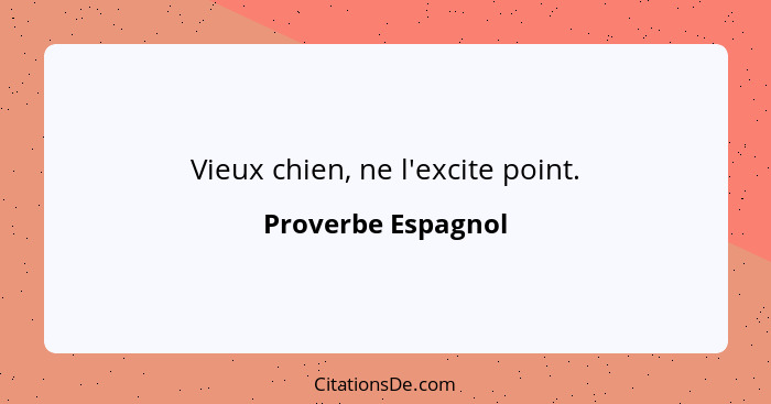 Vieux chien, ne l'excite point.... - Proverbe Espagnol