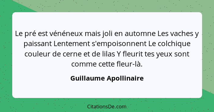 Le pré est vénéneux mais joli en automne Les vaches y paissant Lentement s'empoisonnent Le colchique couleur de cerne et de li... - Guillaume Apollinaire