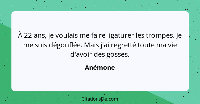 À 22 ans, je voulais me faire ligaturer les trompes. Je me suis dégonflée. Mais j'ai regretté toute ma vie d'avoir des gosses.... - Anémone