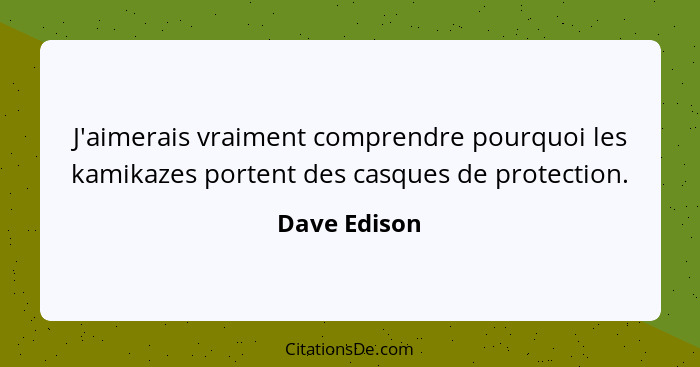 J'aimerais vraiment comprendre pourquoi les kamikazes portent des casques de protection.... - Dave Edison