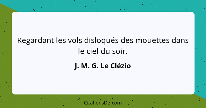 Regardant les vols disloqués des mouettes dans le ciel du soir.... - J. M. G. Le Clézio