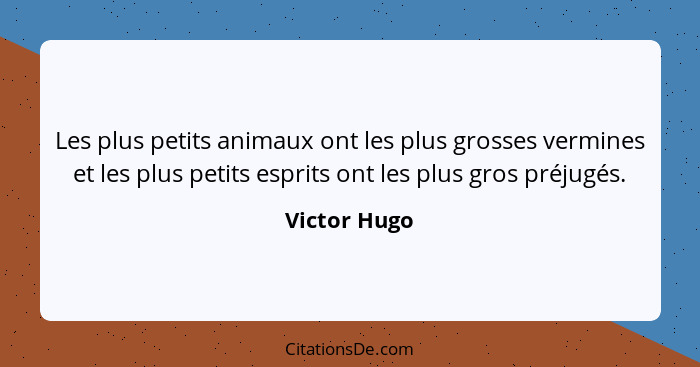 Les plus petits animaux ont les plus grosses vermines et les plus petits esprits ont les plus gros préjugés.... - Victor Hugo