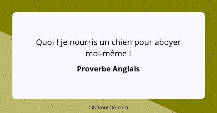 Quoi ! je nourris un chien pour aboyer moi-même !... - Proverbe Anglais