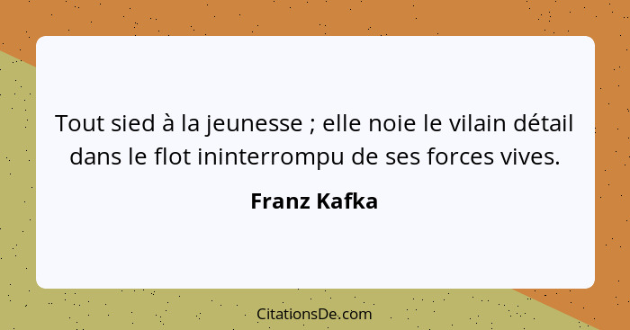 Tout sied à la jeunesse ; elle noie le vilain détail dans le flot ininterrompu de ses forces vives.... - Franz Kafka