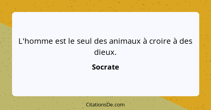 L'homme est le seul des animaux à croire à des dieux.... - Socrate