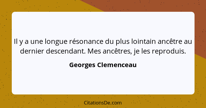 Il y a une longue résonance du plus lointain ancêtre au dernier descendant. Mes ancêtres, je les reproduis.... - Georges Clemenceau