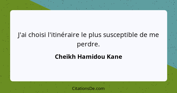 J'ai choisi l'itinéraire le plus susceptible de me perdre.... - Cheikh Hamidou Kane