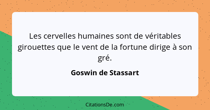 Les cervelles humaines sont de véritables girouettes que le vent de la fortune dirige à son gré.... - Goswin de Stassart