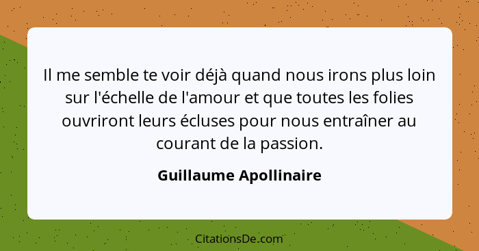 Il me semble te voir déjà quand nous irons plus loin sur l'échelle de l'amour et que toutes les folies ouvriront leurs écluses... - Guillaume Apollinaire