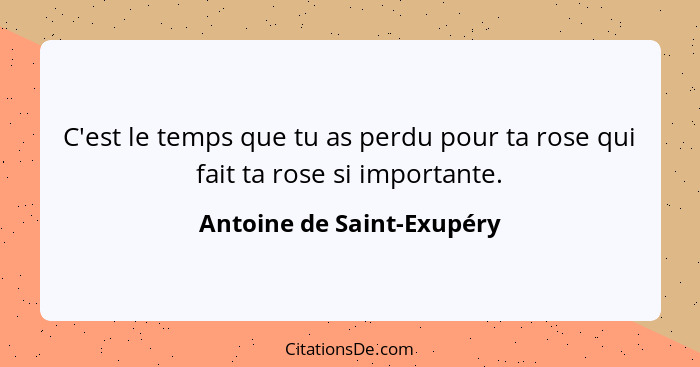 C'est le temps que tu as perdu pour ta rose qui fait ta rose si importante.... - Antoine de Saint-Exupéry