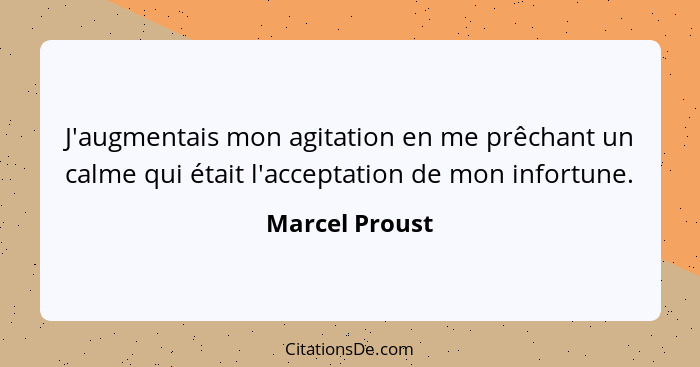 J'augmentais mon agitation en me prêchant un calme qui était l'acceptation de mon infortune.... - Marcel Proust
