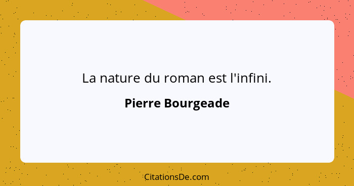 La nature du roman est l'infini.... - Pierre Bourgeade