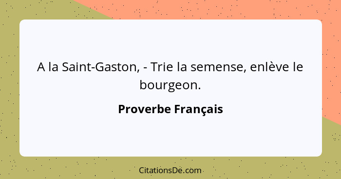 A la Saint-Gaston, - Trie la semense, enlève le bourgeon.... - Proverbe Français