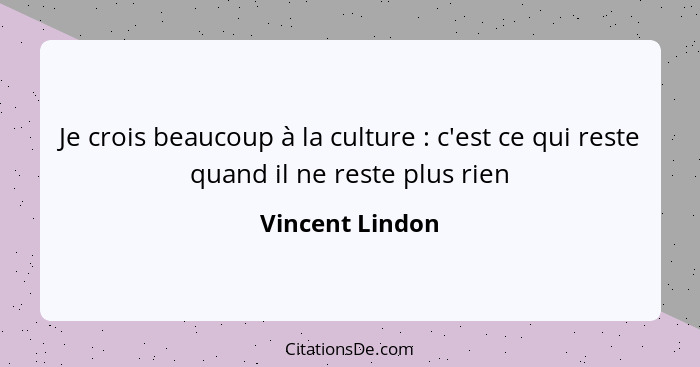 Je crois beaucoup à la culture : c'est ce qui reste quand il ne reste plus rien... - Vincent Lindon