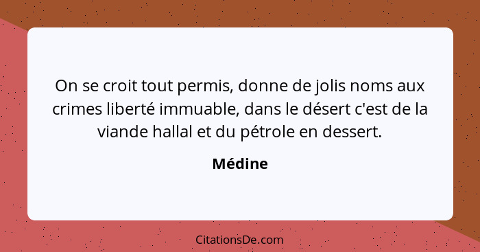 On se croit tout permis, donne de jolis noms aux crimes liberté immuable, dans le désert c'est de la viande hallal et du pétrole en dessert.... - Médine