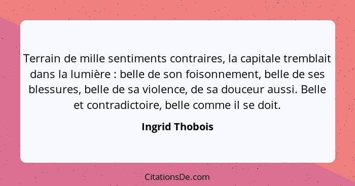 Terrain de mille sentiments contraires, la capitale tremblait dans la lumière : belle de son foisonnement, belle de ses blessure... - Ingrid Thobois