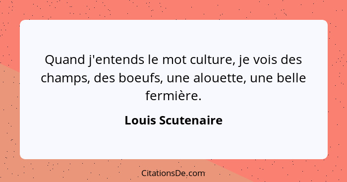 Quand j'entends le mot culture, je vois des champs, des boeufs, une alouette, une belle fermière.... - Louis Scutenaire