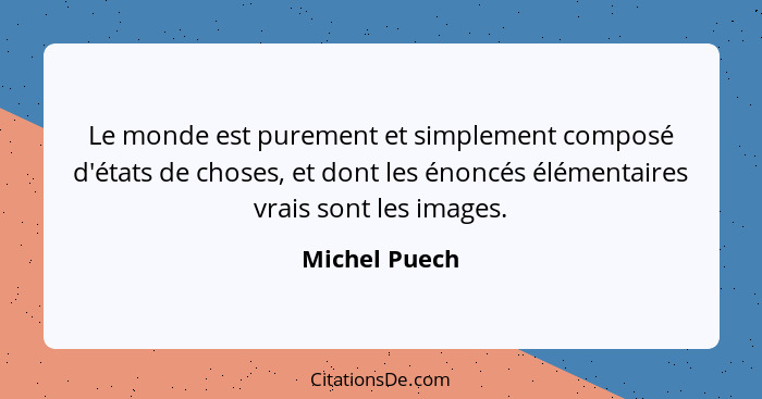 Le monde est purement et simplement composé d'états de choses, et dont les énoncés élémentaires vrais sont les images.... - Michel Puech