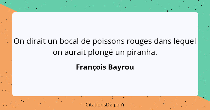 On dirait un bocal de poissons rouges dans lequel on aurait plongé un piranha.... - François Bayrou