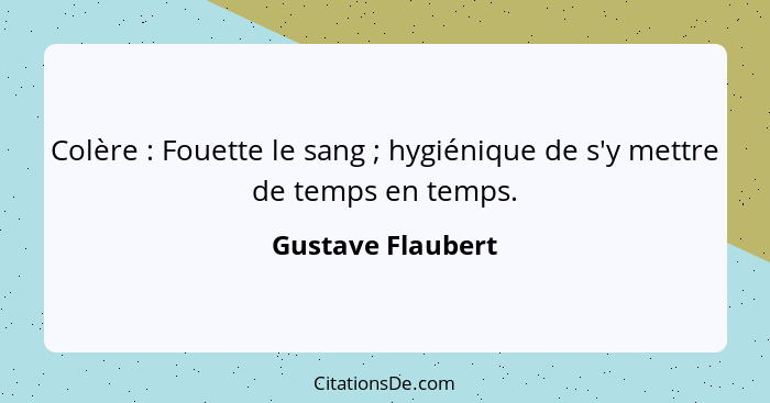 Colère : Fouette le sang ; hygiénique de s'y mettre de temps en temps.... - Gustave Flaubert
