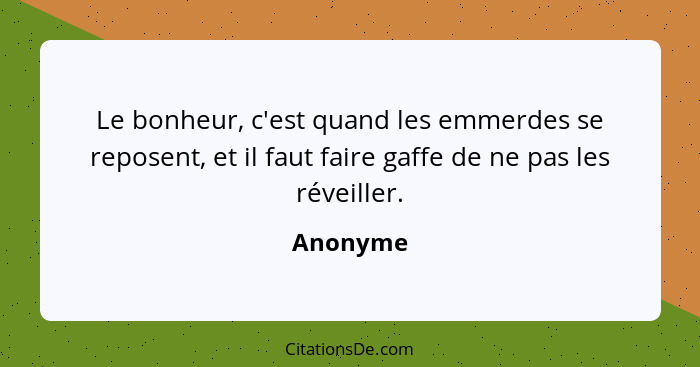 Le bonheur, c'est quand les emmerdes se reposent, et il faut faire gaffe de ne pas les réveiller.... - Anonyme