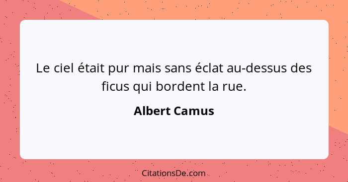 Le ciel était pur mais sans éclat au-dessus des ficus qui bordent la rue.... - Albert Camus