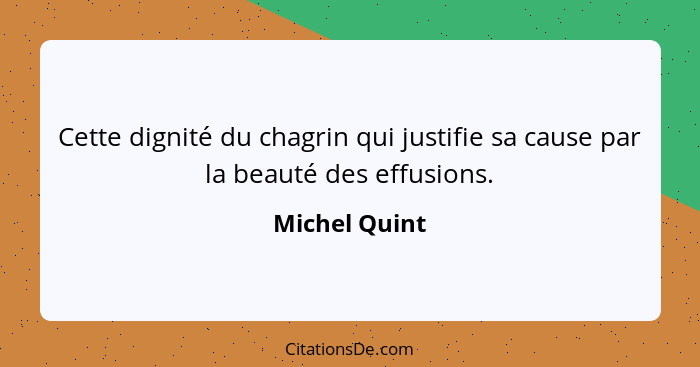 Cette dignité du chagrin qui justifie sa cause par la beauté des effusions.... - Michel Quint