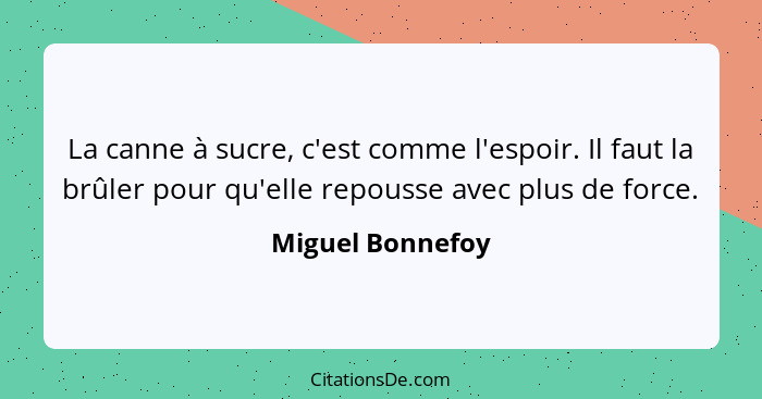 La canne à sucre, c'est comme l'espoir. Il faut la brûler pour qu'elle repousse avec plus de force.... - Miguel Bonnefoy