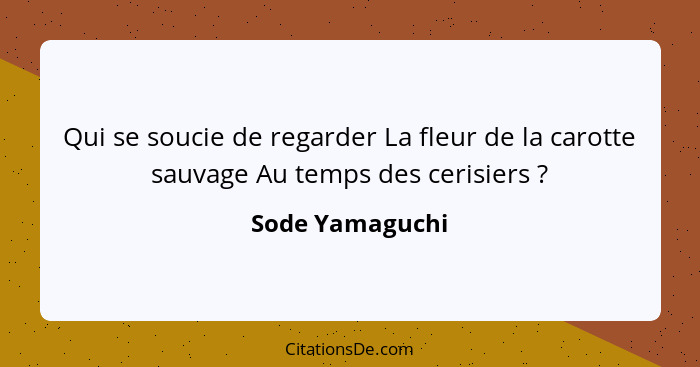 Qui se soucie de regarder La fleur de la carotte sauvage Au temps des cerisiers ?... - Sode Yamaguchi