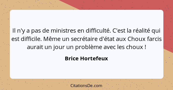 Il n'y a pas de ministres en difficulté. C'est la réalité qui est difficile. Même un secrétaire d'état aux Choux farcis aurait un jo... - Brice Hortefeux