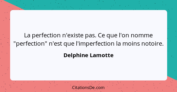 La perfection n'existe pas. Ce que l'on nomme "perfection" n'est que l'imperfection la moins notoire.... - Delphine Lamotte