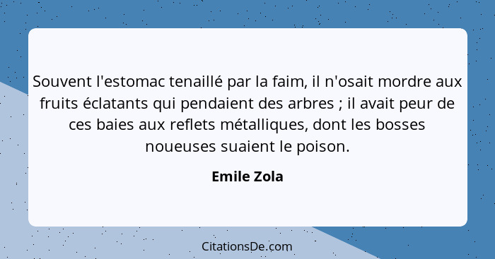 Souvent l'estomac tenaillé par la faim, il n'osait mordre aux fruits éclatants qui pendaient des arbres ; il avait peur de ces baies... - Emile Zola