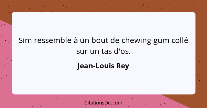 Sim ressemble à un bout de chewing-gum collé sur un tas d'os.... - Jean-Louis Rey