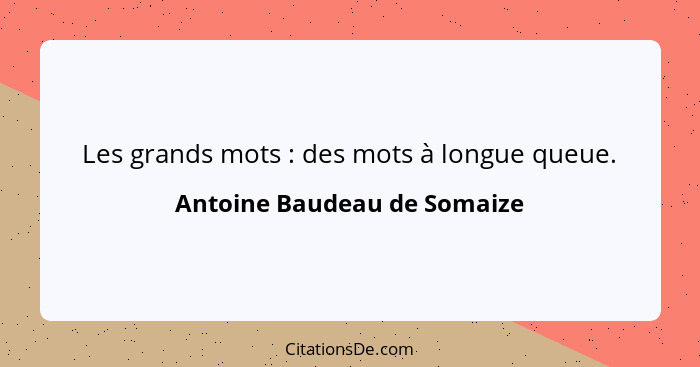 Les grands mots : des mots à longue queue.... - Antoine Baudeau de Somaize