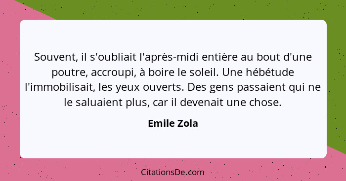 Souvent, il s'oubliait l'après-midi entière au bout d'une poutre, accroupi, à boire le soleil. Une hébétude l'immobilisait, les yeux ouve... - Emile Zola